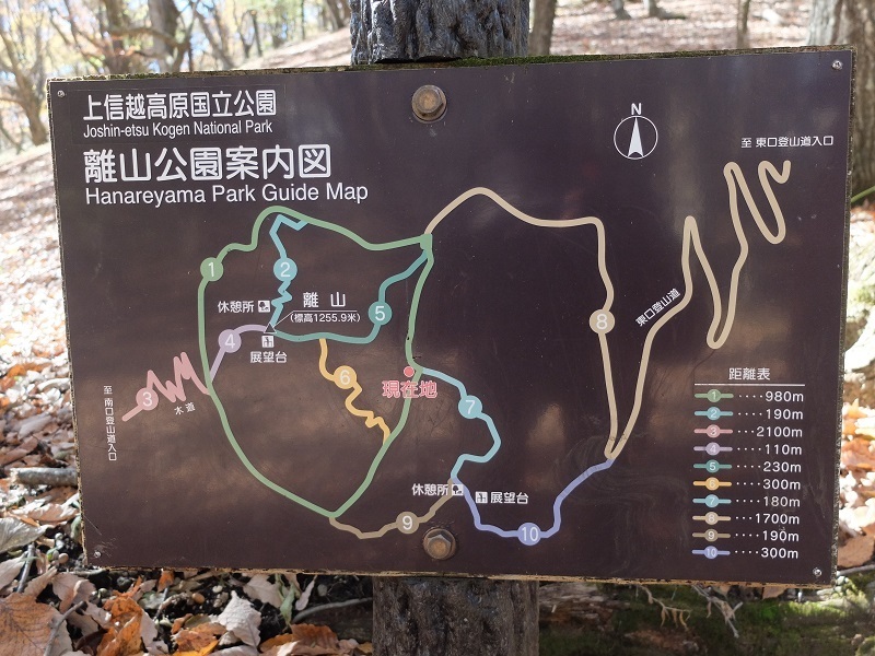 錦秋の雲場池と離山: 浅間山麓のブラタヌキ